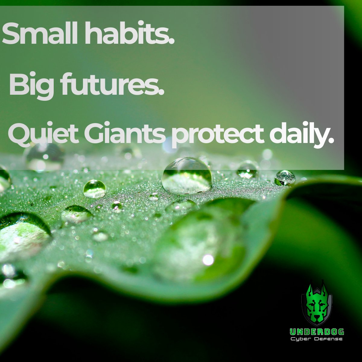 UnderdogMCIO's tweet image. Silent moves. Strategic advantage. Legacy protected. #SilentExecution #QuietGiants