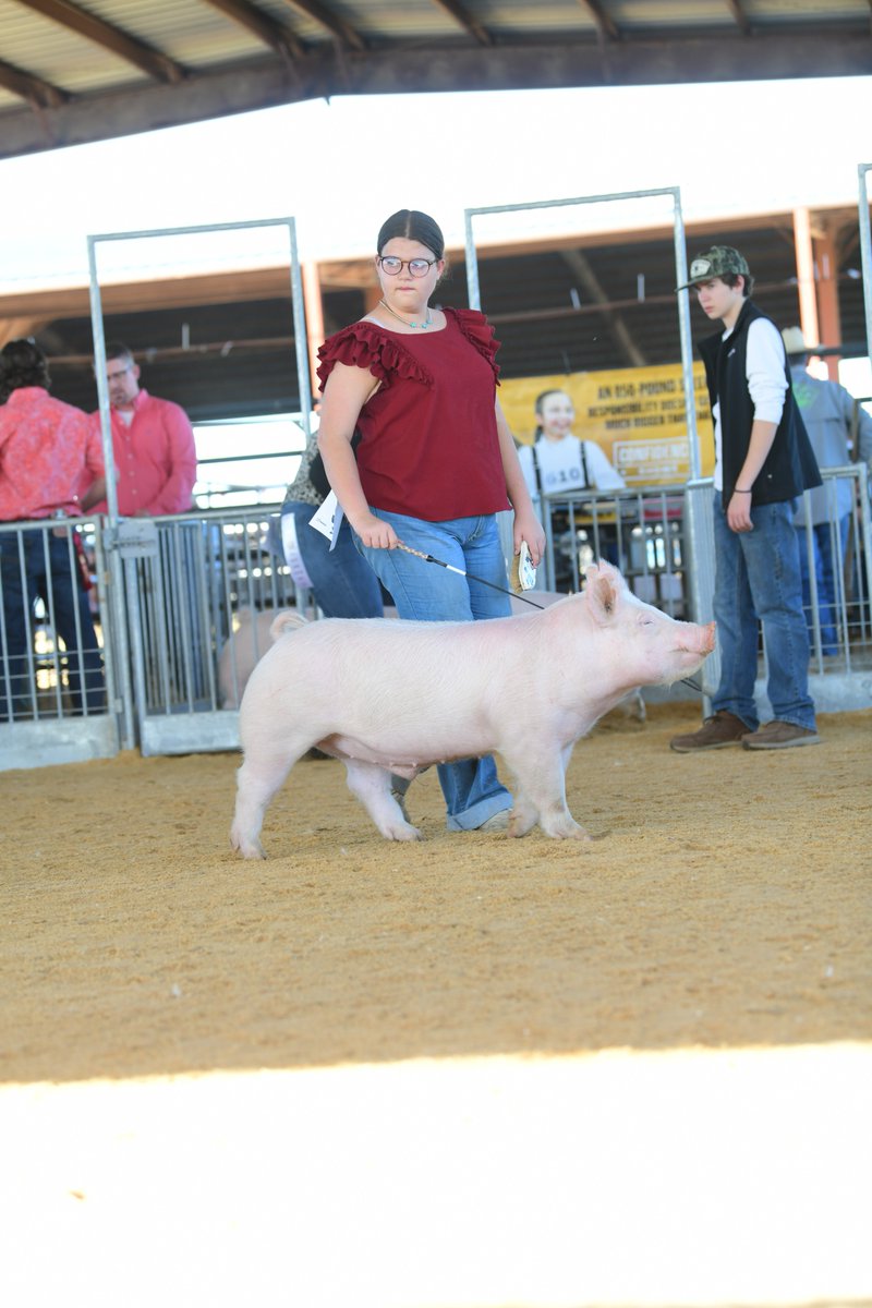 HOLT_CAT's tweet image. #HOLTCAT is proud to sponsor the upcoming Parker County Livestock Show! 🐄🌾

We support 4-H, FFA &amp;amp; other organizations working to grow better livestock &amp;amp; crops through education, exhibits &amp;amp; community. bit.ly/3YRR6sP

#LivestockShow