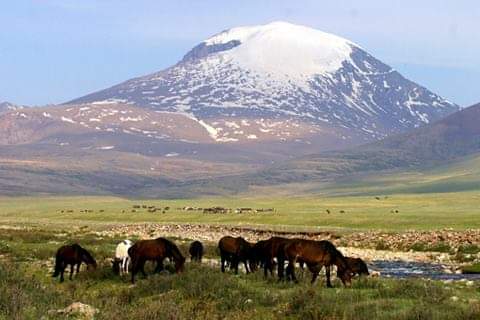 Өглөөний мэндээ.