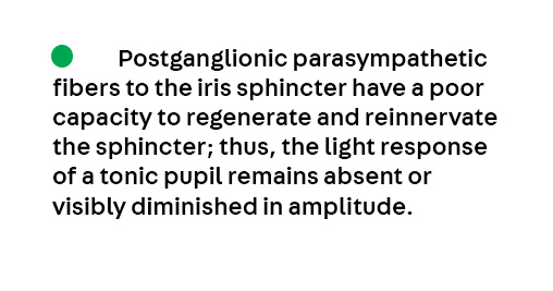 Key Point 2 from the article Disorders of the Pupil by Dr. Aki Kawasaki, from the April #Neuroophthalmology issue, which is available to subscribers at hubs.la/Q03kdDN-0.
#Neurology #NeuroTwitter #MedEd