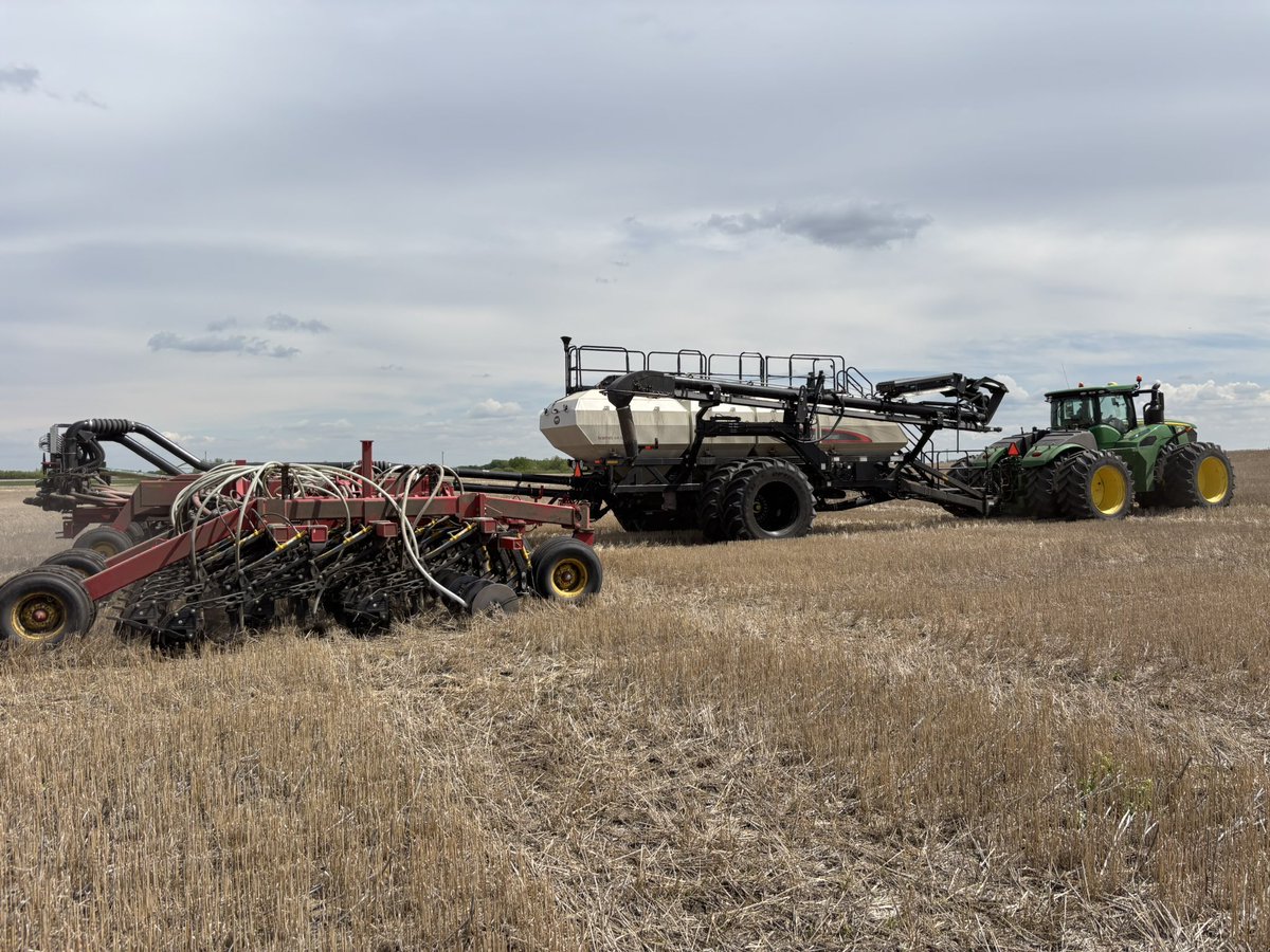 Rachelle Farrell tweet media