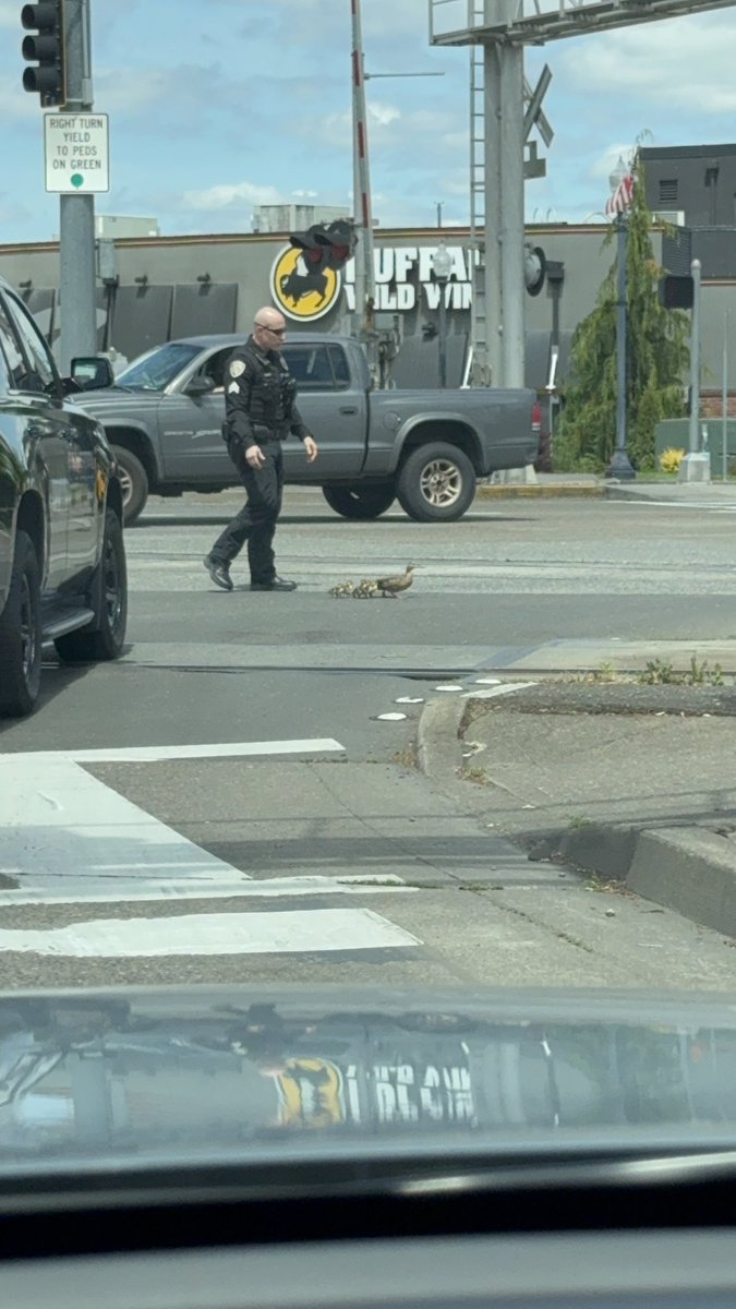 Nancy “NancyMD” Yen Shipley, MD, FAAOS tweet media