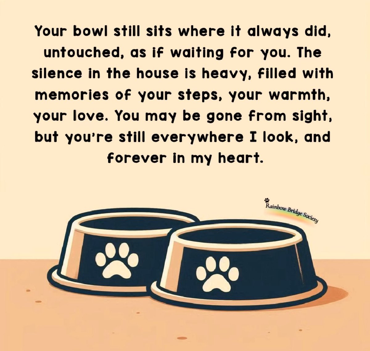 A year later and Brownie’s bowl is still where it’s always been, his little spot in the kitchen.
