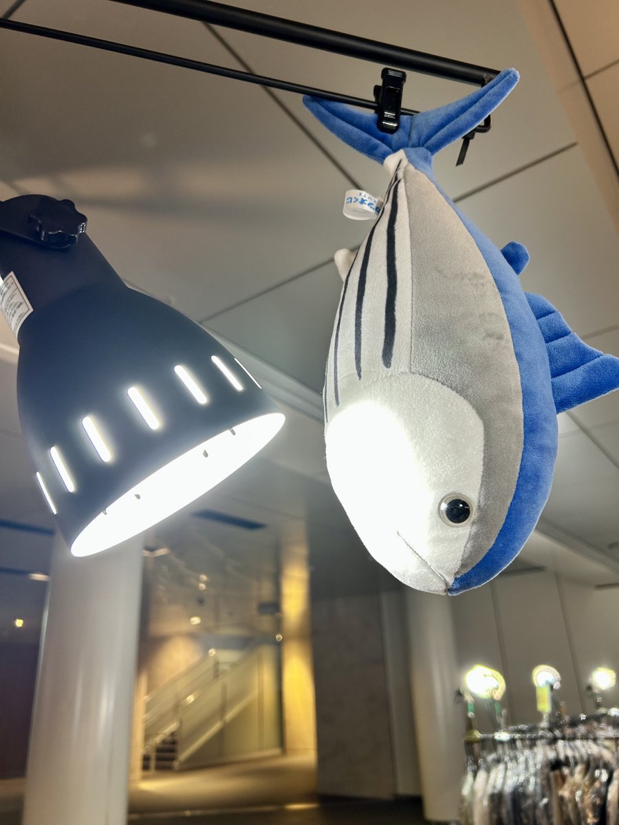 おはようございます🐟
昨日はチカホに来てくれた皆様、差し入れまで持ってきてくれた方、ありがとうございました🥰♥️

今日から2日間、ラソラ札幌Aタウン1階にて
ソライロマーケット 11:00～18:00🌈
たくさんの出店者さんがいる大きなイベントなので、私も楽しみです🎶
是非遊びに来てくださいね〜✨️