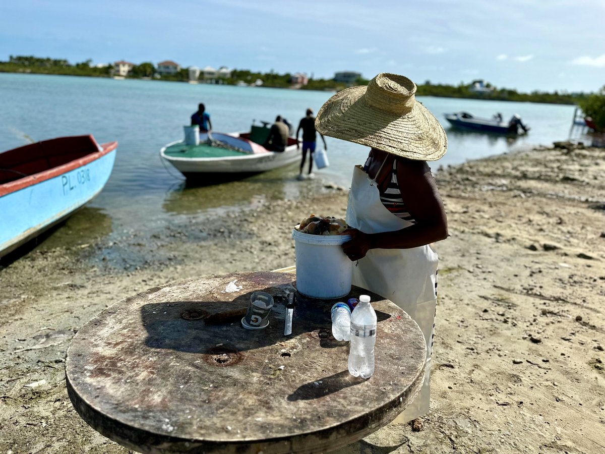 #GenderEquality &amp; #SocialInclusion promotes #BlueJustice for marginalized small-scale fishing communities  

🔗Read more about our project here: darwinplus.org.uk/news/2025/05/0…

#SmallScaleFisheries #SocialJustice #TurksandCaicosIslands #DarwinPlus