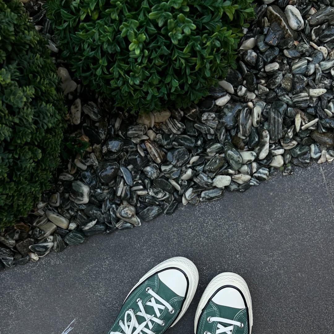 mia_martin88's tweet image. Stepping into the calm. Nature’s details underfoot 🌿🖤 #FromWhereIStand #GreenVibes #NatureTextures #SneakerStyle #GardenWalks #UrbanNature #MinimalMood #DetailsMatter #ShoeGameStrong #ZenSteps