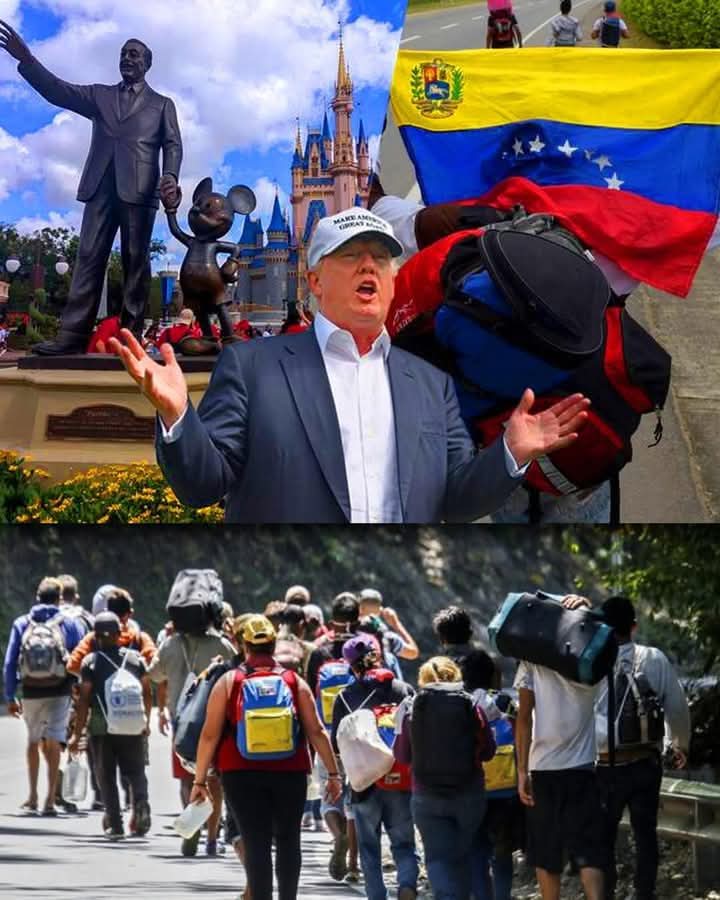Calabaza ,calabaza...