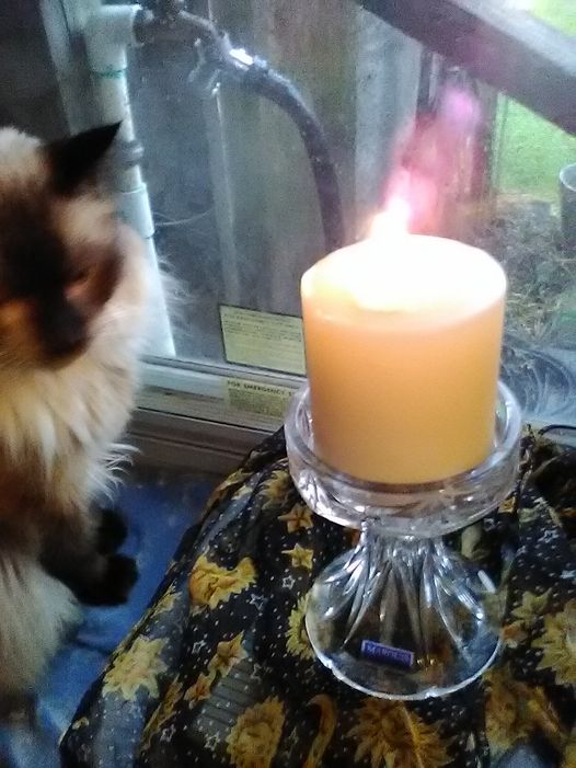 Thinking about Kate today, and sending comfort and support to you.🫂❤️‍🩹 #ACandleForKate 🕯️  <a href="/liebherk/">Ben Krehbiel</a>
