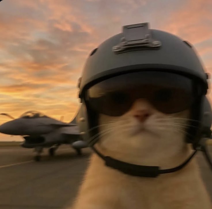 on my way to war (solo q apex)