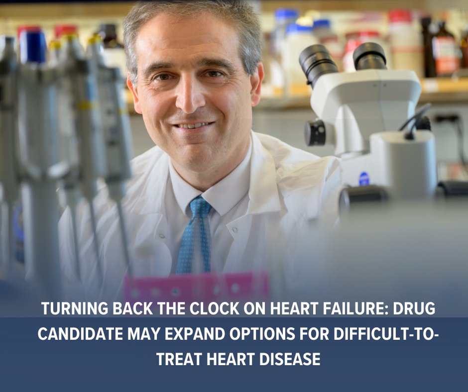 UA College of Medicine – Tucson (@uazmedtucson) on Twitter photo HFpEF, a common form of heart failure, is linked to stiff heart muscle. <a href="/ArdehaliHossein/">Hossein Ardehali</a> MD, PhD, <a href="/UAZHeart/">UArizona Sarver Heart Center</a> assoc director, led a study that identified a potential drug to reverse it. “We are excited — this could potentially be a new treatment for HFpEF.” bit.ly/4khpdTK HFpEF, a common form of heart failure, is linked to stiff heart muscle. <a href="/ArdehaliHossein/">Hossein Ardehali</a> MD, PhD, <a href="/UAZHeart/">UArizona Sarver Heart Center</a> assoc director, led a study that identified a potential drug to reverse it. “We are excited — this could potentially be a new treatment for HFpEF.” bit.ly/4khpdTK