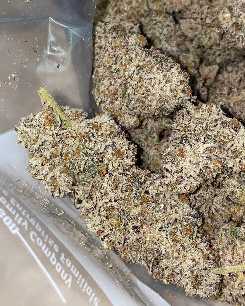 Pure Michigan F2 #8 ❄️❄️