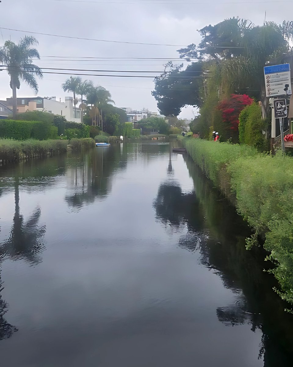 mrmunifali1's tweet image. Peace. Presence. Power.

The MPOWR Walk through the Venice Canals was a reminder: reflection fuels the next move.

#MrMunifAli #VeniceCanals #MPOWRWalk #LeadershipLifestyle #MindsetMatters
