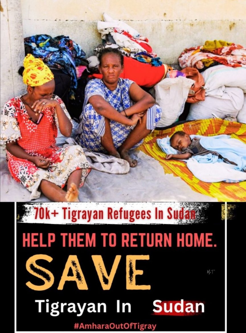 Day 1663 of the #TigrayGenocide:

Over ome million people in #Tigray are still displaced.
Many were driven out by war.
But what keeps them in camps is the refusal of justice; The refusal to allow them home.
This is engineered limbo.

#ReturnTegaruIDPs

#UpholdPretoriaAgreement