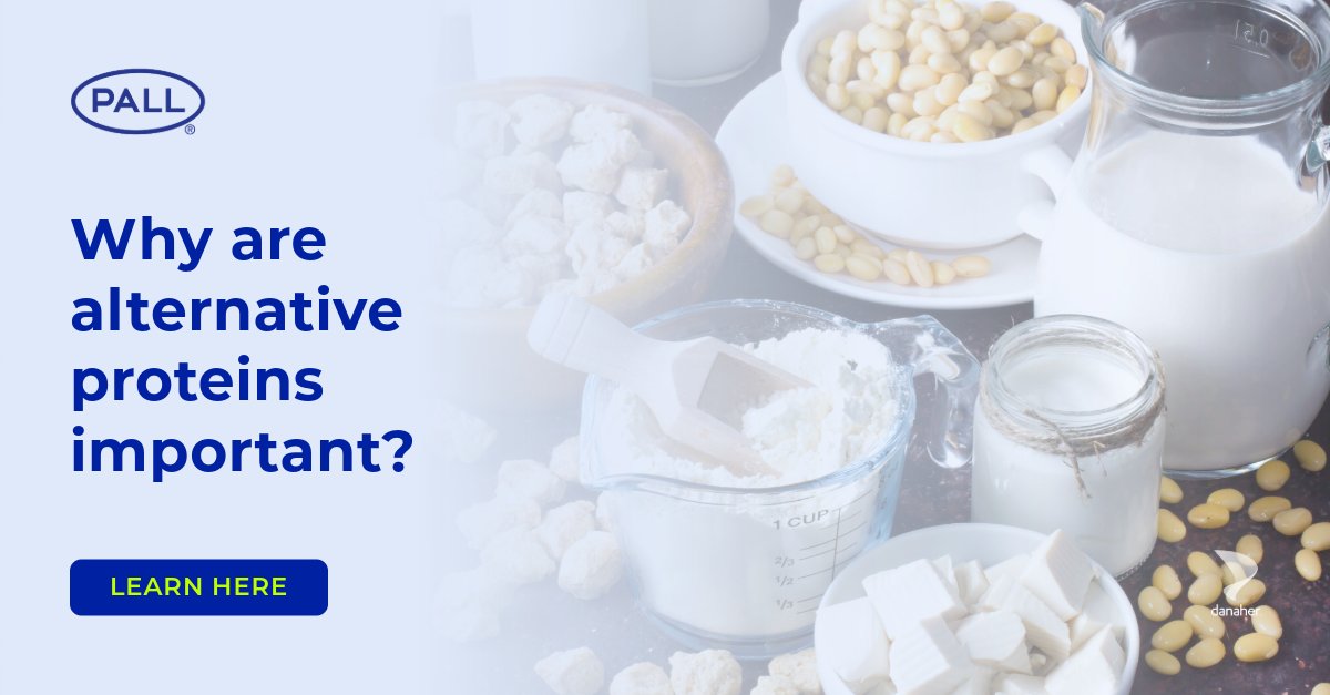 Health benefits, animal welfare, and environmental concerns drive the shift towards plant-based and vegan diets. Discover how the food industry is stepping up to provide nutritious and balanced options: bit.ly/3H54Ude.