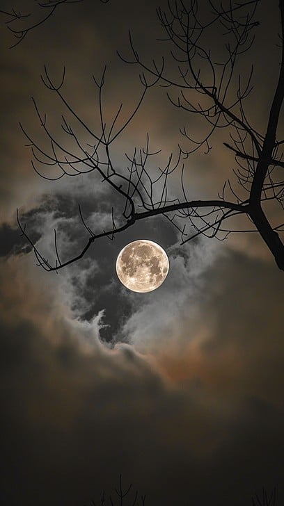 𝐀lissa 𝐏endragon. (@alissapendragon) on Twitter photo 