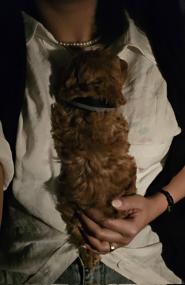 عصری که می‌رفتیم بیرون، دوتایی بودیم؛
برگشتنی خونه دیگه سه‌تایی شده بودیم🍼💘