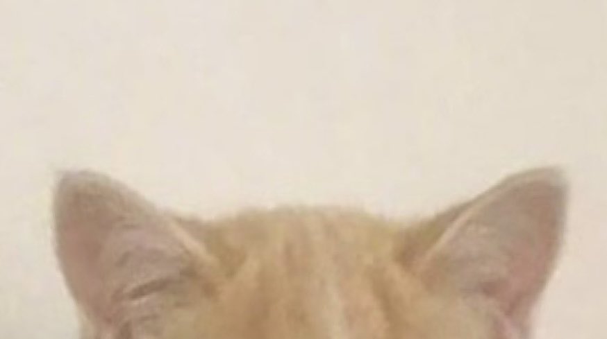 whitenoisesss's tweet photo. ...    •._.••´¯``•.¸¸.•`🤍 cнι𝕛𝕦 🖤`•.¸¸.•´´¯`••._.•.   ... https://t.co/cAG48w6GRO