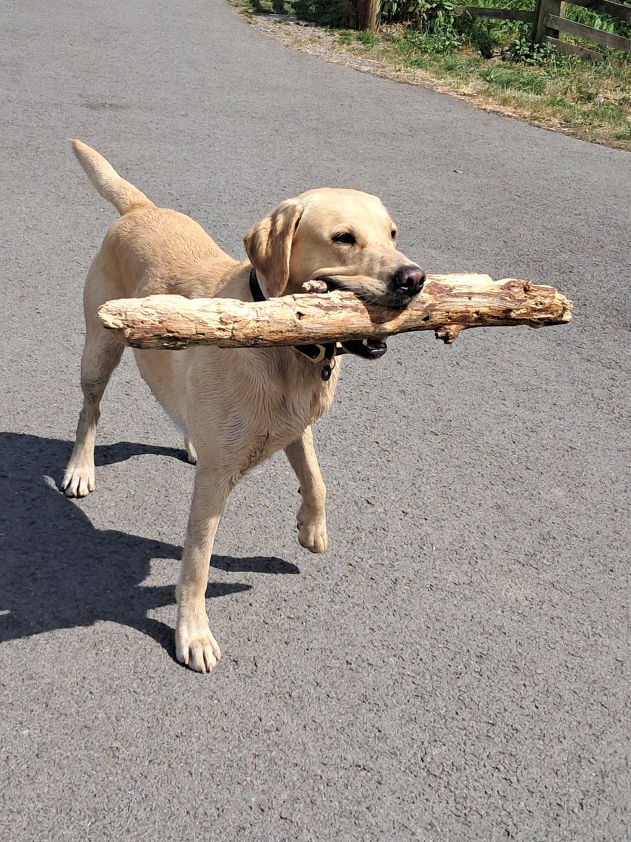 Monk Makes tweet media