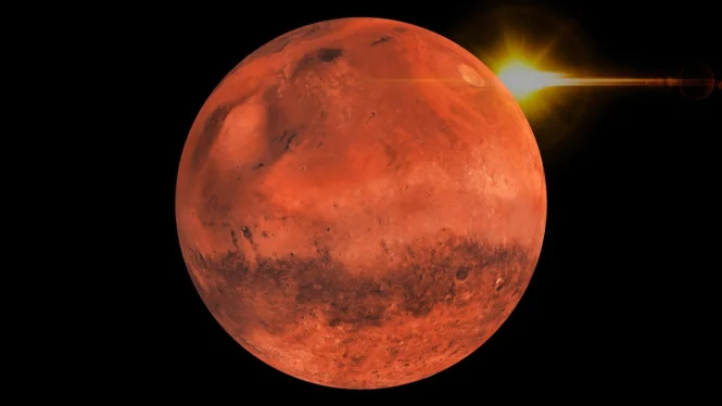NASAAstrobio's tweet image. Our next guest for #AskAstrobio is Dr. Lígia Fonseca Coelho, an astrobiologist who studies biological pigments of a certain color that she says could expand our list of potential candidates for habitable worlds outside our solar system! What color planets should future telescopes…