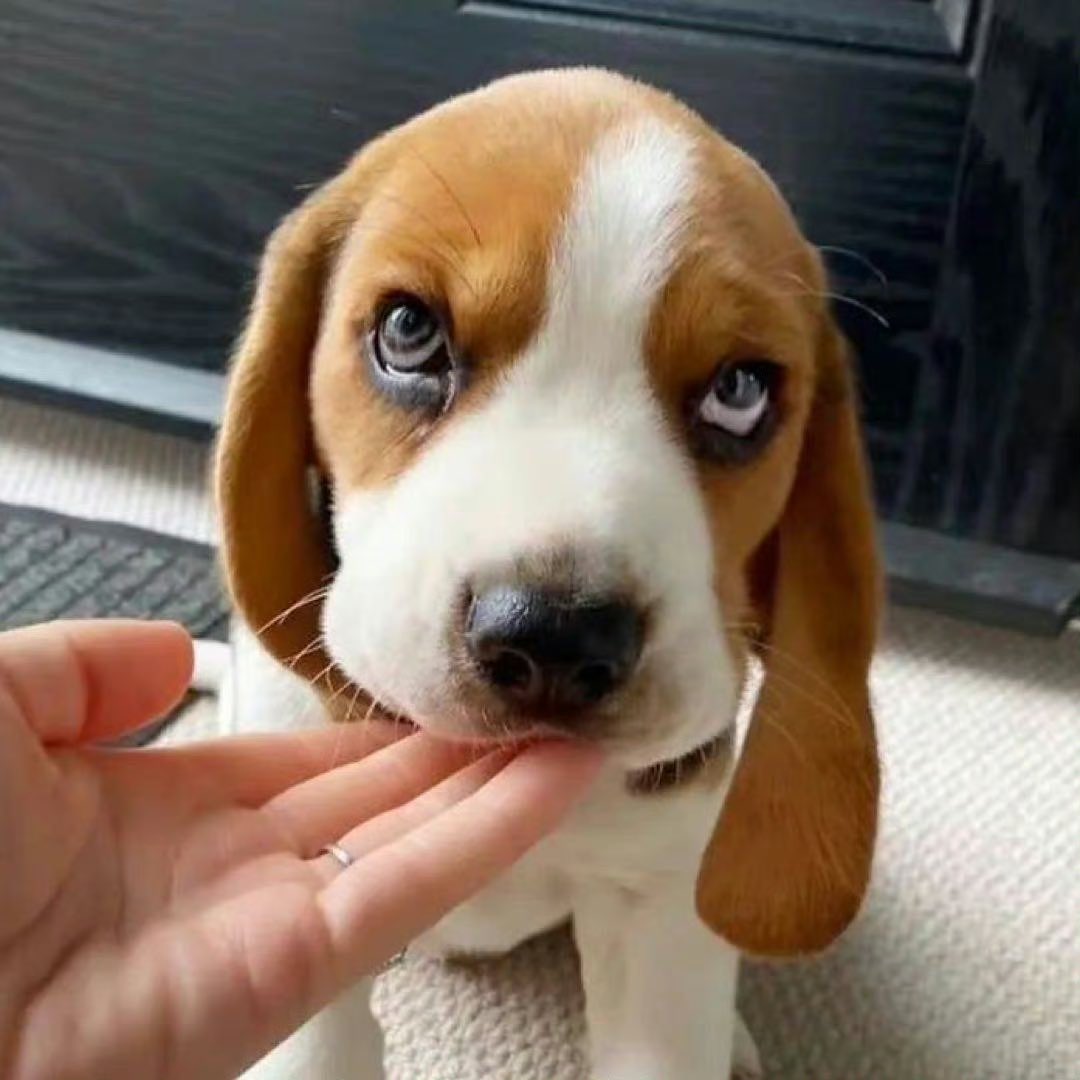 spot the difference
#銀魂 #沖田総悟