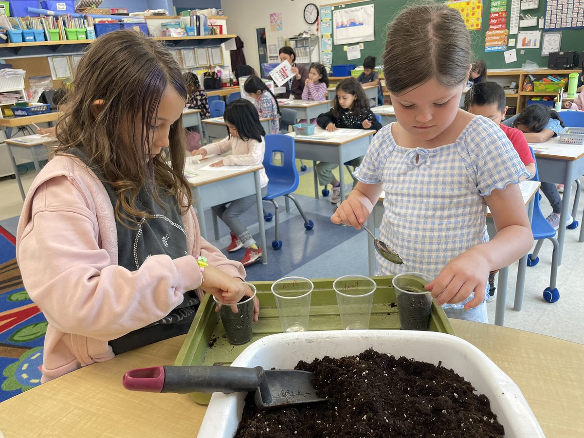 donnellgr1's tweet photo. We planted 2 different types of seeds today. We will hopefully see some plants sprouting up next week. 🤞 https://t.co/dE1VMCpDcy