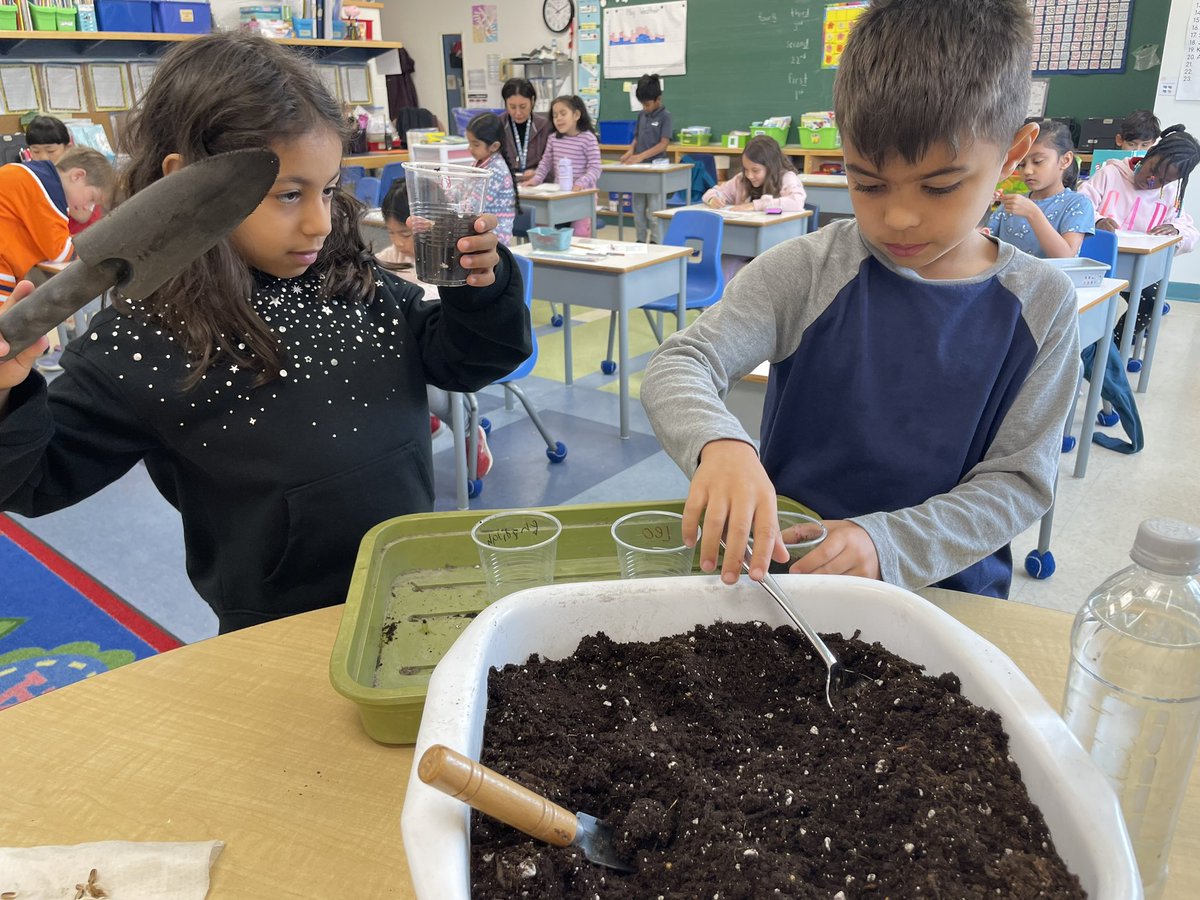 donnellgr1's tweet photo. We planted 2 different types of seeds today. We will hopefully see some plants sprouting up next week. 🤞 https://t.co/dE1VMCpDcy