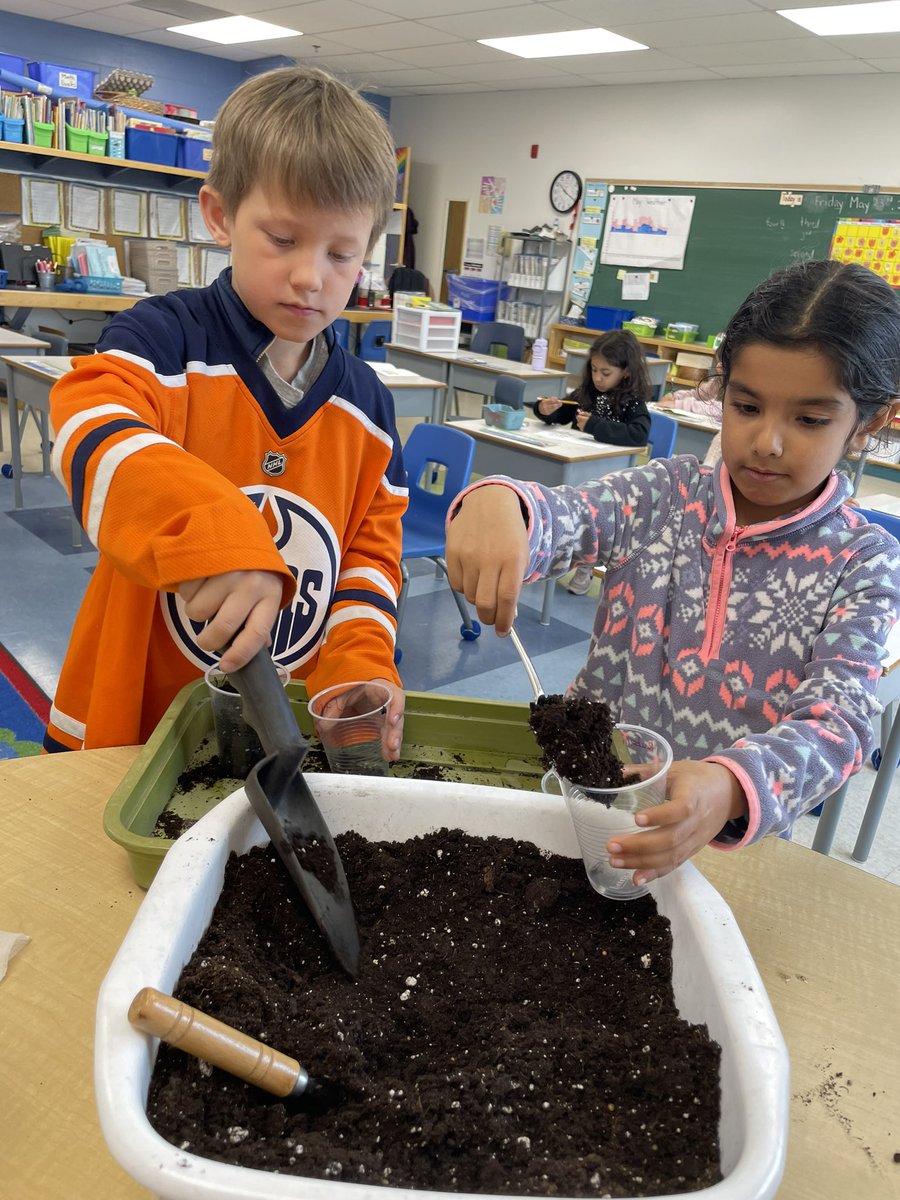 donnellgr1's tweet photo. We planted 2 different types of seeds today. We will hopefully see some plants sprouting up next week. 🤞 https://t.co/dE1VMCpDcy