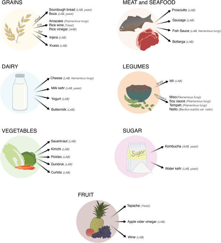 GutMicrobiota Health (@gmfhx) on Twitter photo It's feasible to integrate fermented foods into dietary recommendations
This review from <a href="/GutBugs2/">Justin Sonnenburg</a>, <a href="/GardnerPhD/">Christopher Gardner</a> & colleagues updates mechanisms of action that support health benefits of fermented foods and new ways to expand research:
loom.ly/SZOj8qY It's feasible to integrate fermented foods into dietary recommendations
This review from <a href="/GutBugs2/">Justin Sonnenburg</a>, <a href="/GardnerPhD/">Christopher Gardner</a> & colleagues updates mechanisms of action that support health benefits of fermented foods and new ways to expand research:
loom.ly/SZOj8qY