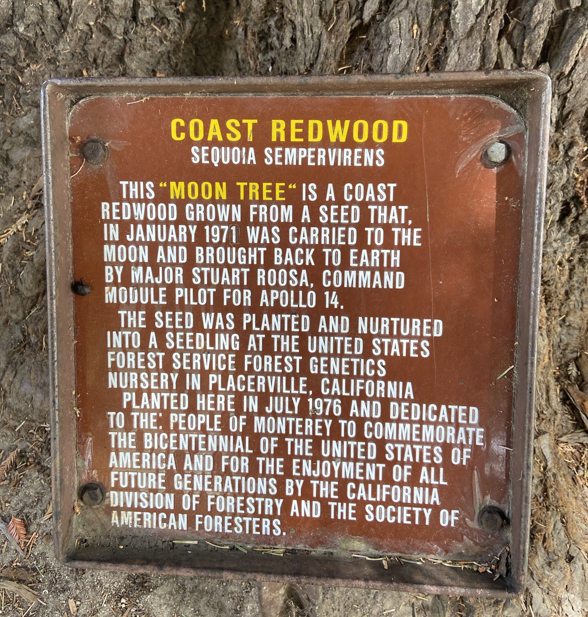 isalara's tweet image. Omg!!! My worlds are colliding!!! #NASA #spacegeek #moontree @NASAhistory