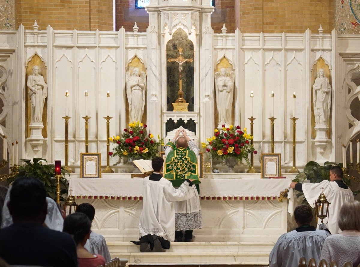 HilarityjaneArt's tweet image. Re: Charlotte's TLM: it really does just illustrate what I've been saying. There are two completely different and implacably opposed religions living in the same institution.
Someone on FB said: "Charlotte USED to be such a great diocese for tradition. Heartbreaking!"...