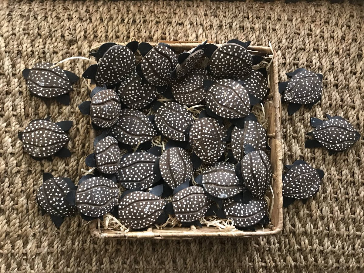 mitimeth_'s tweet image. It’s #WorldTurtleDay 🐢

We’re shellebrating with @mitimeth_ made turtle magnets. Hand carved from discarded coconut shells ♻️.

Like turtles, we move steady and strong.
Resilient. Rooted. Ready for better days.

#MitiMethMade #turtleday #gift #madeInNigeria #WhatsApp