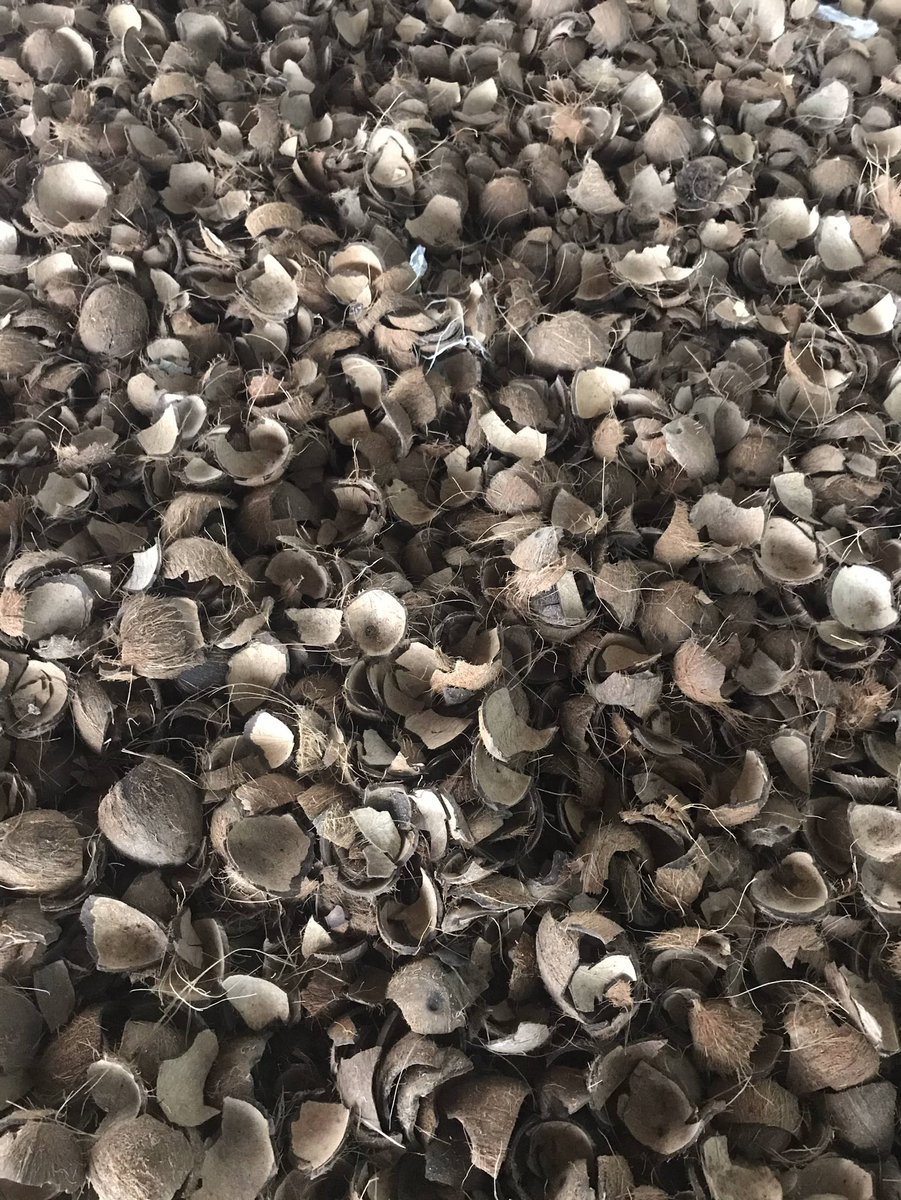 mitimeth_'s tweet image. It’s #WorldTurtleDay 🐢

We’re shellebrating with @mitimeth_ made turtle magnets. Hand carved from discarded coconut shells ♻️.

Like turtles, we move steady and strong.
Resilient. Rooted. Ready for better days.

#MitiMethMade #turtleday #gift #madeInNigeria #WhatsApp