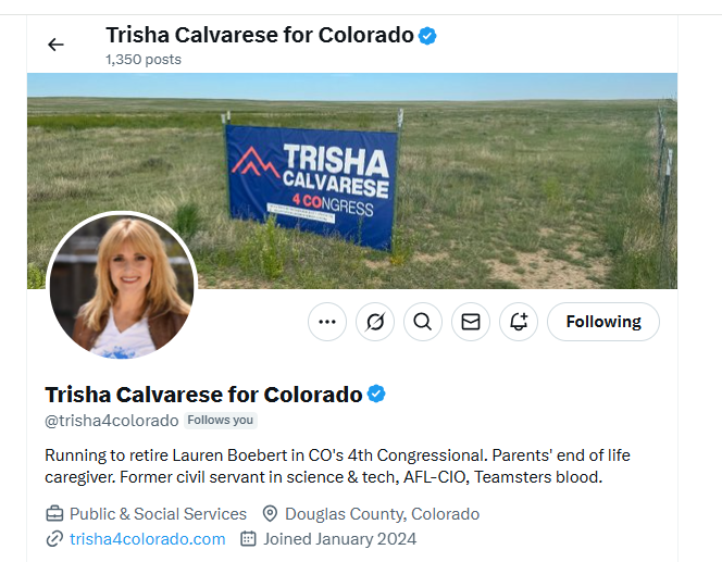 Listen, I'd love to see @LaurenBoebert doing the walk of shame out of DC. However, <a href="/EileenforCO/">Rear Admiral Eileen Laubacher</a> claiming she is "the Democrat running against Lauren Boebert" is false. There is a primary with Dem candidates, <a href="/PadoraforCO/">John Padora for Congress (CO-4)</a> &amp; <a href="/trisha4colorado/">Trisha Calvarese for Colorado</a>.  Rookie mistake or strategy or cocky?