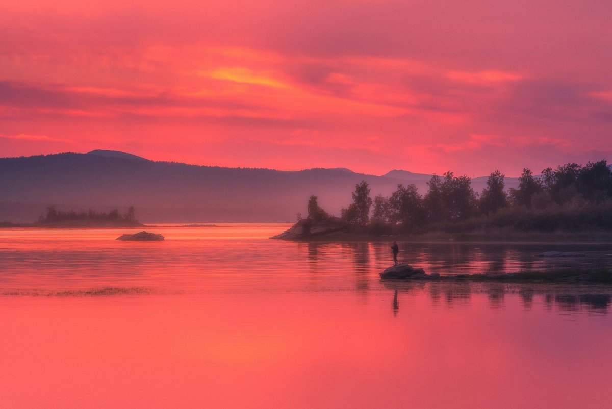 Julian Haynes tweet media