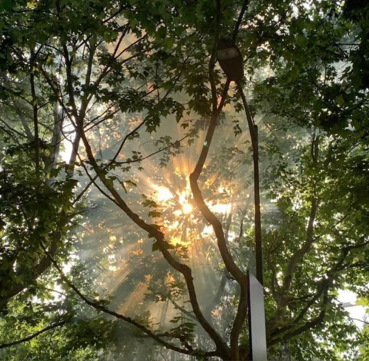 𓍊˖ ࣪⊹ tweet media