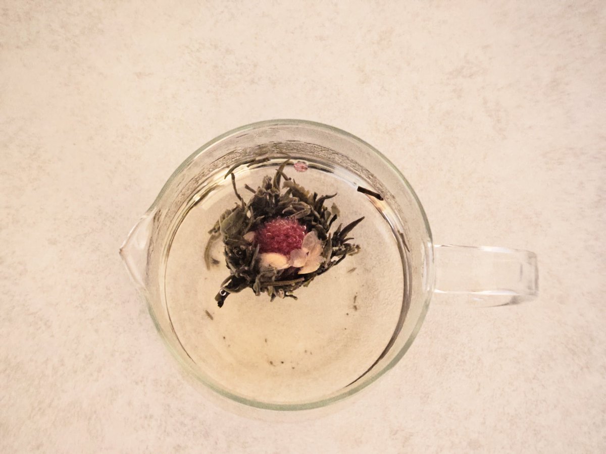 aso0035's tweet photo. 今日は工芸茶(造形茶)。緑茶の茶葉を糸で1枚ずつしばってこのような形に。お湯を注ぐとだんだんほぐれて、ジャスミンの花と千日紅が出てくる。
本来はもっと少ない湯量で差し湯をしながら飲むらしいんだけど、たっぷりのお湯にふわふわ泳がせたくてティーポットにしちゃった
#茶葉ログ #crafttea https://t.co/ylvVMA4GyT