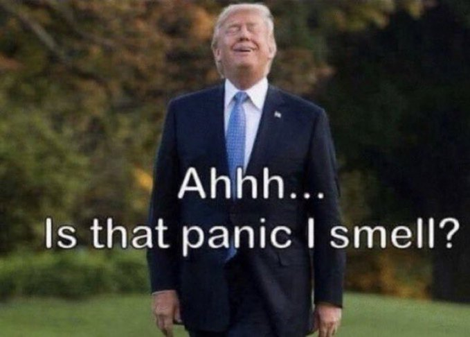 GildaMiranda22's tweet image. #PanicInDC