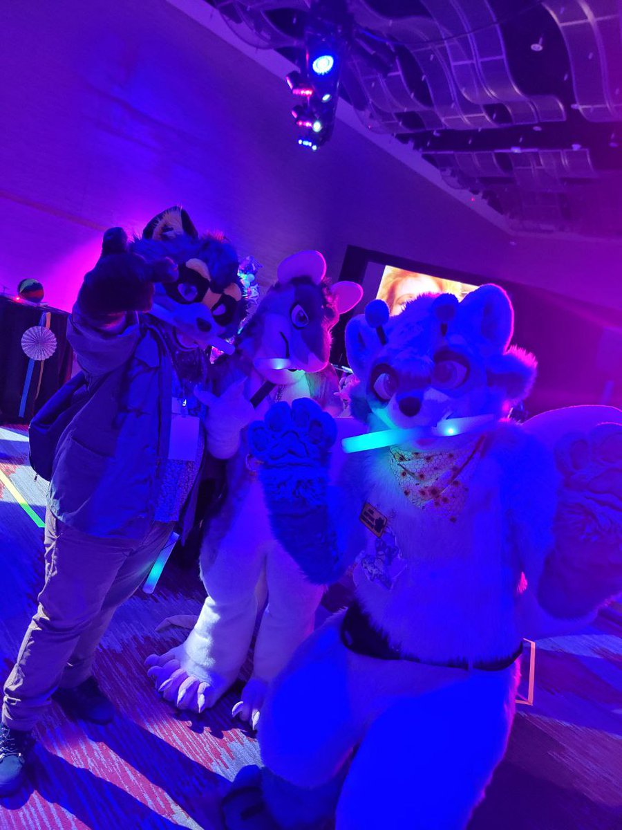 Getting funky on a Friday night (...it was on Sunday) 
Also happy first #FursuitFriday with my bf <a href="/RacksTheRaccoon/">RacksTheRaccoon</a> !!! Featuring <a href="/RaccoonLaprau/">Laprau 🦝🐝</a>