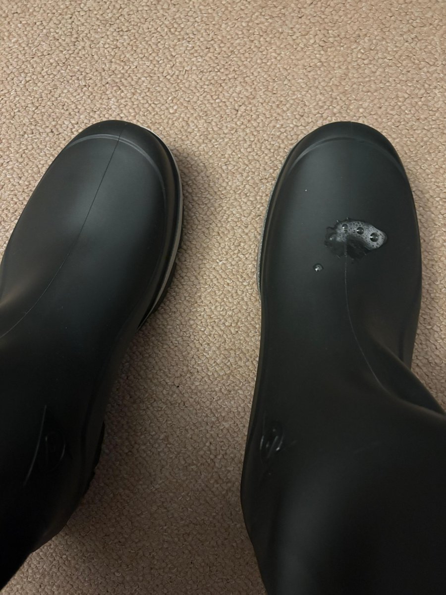 Von einem loyalen Slave gesponsert 😂 Die werden nicht mehr lange so sauber aussehen 😈 Erstmal antreten zum Rotze ablecken 🖕