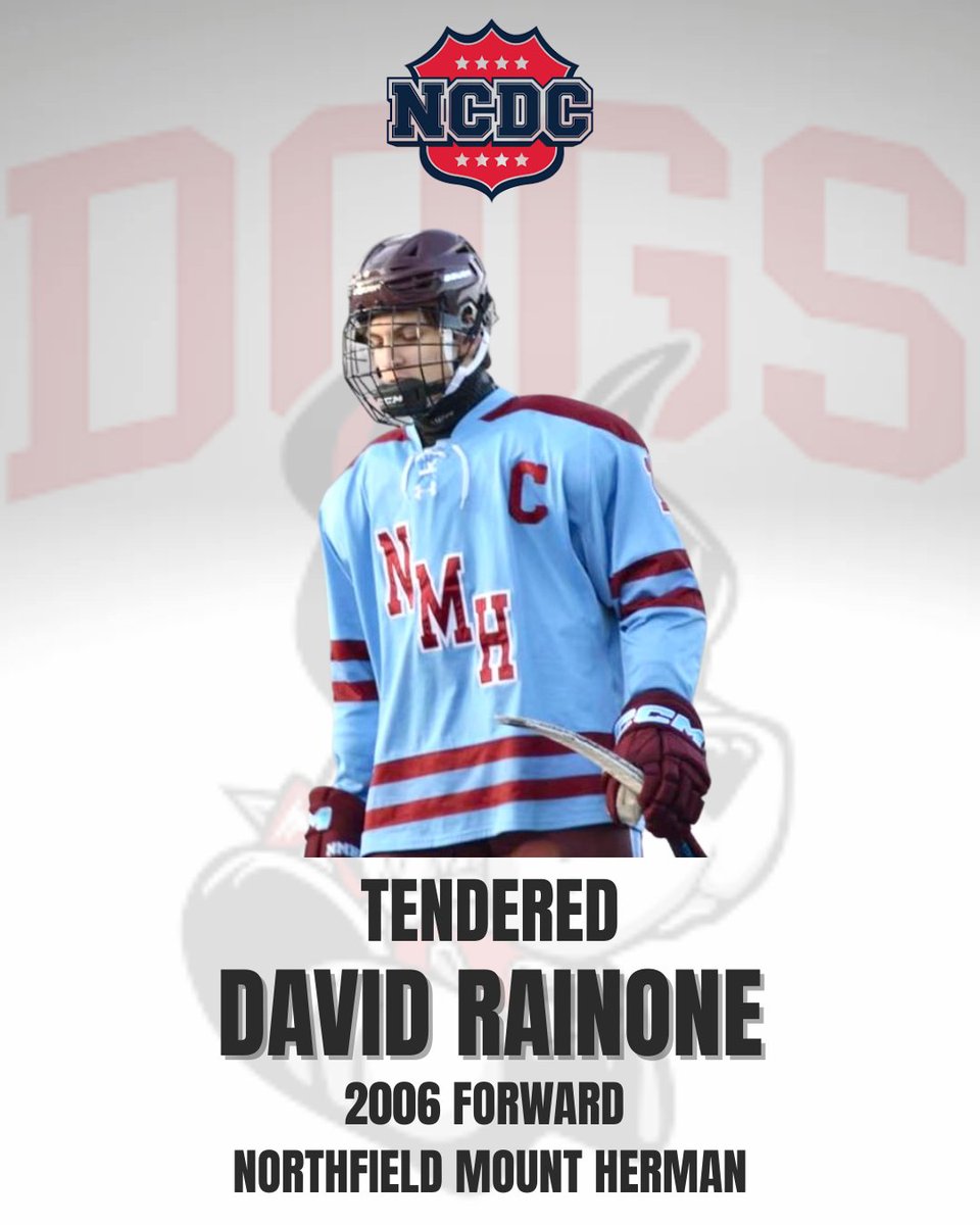 Boston Jr Terriers (@jr_terriers) on Twitter photo Big welcome to Northfield Mount Herman forward, David Rainone, who recently tendered with the #BostonDogs of the <a href="/NCDCJrHockey/">NCDC Hockey</a>! Big welcome to Northfield Mount Herman forward, David Rainone, who recently tendered with the #BostonDogs of the <a href="/NCDCJrHockey/">NCDC Hockey</a>!