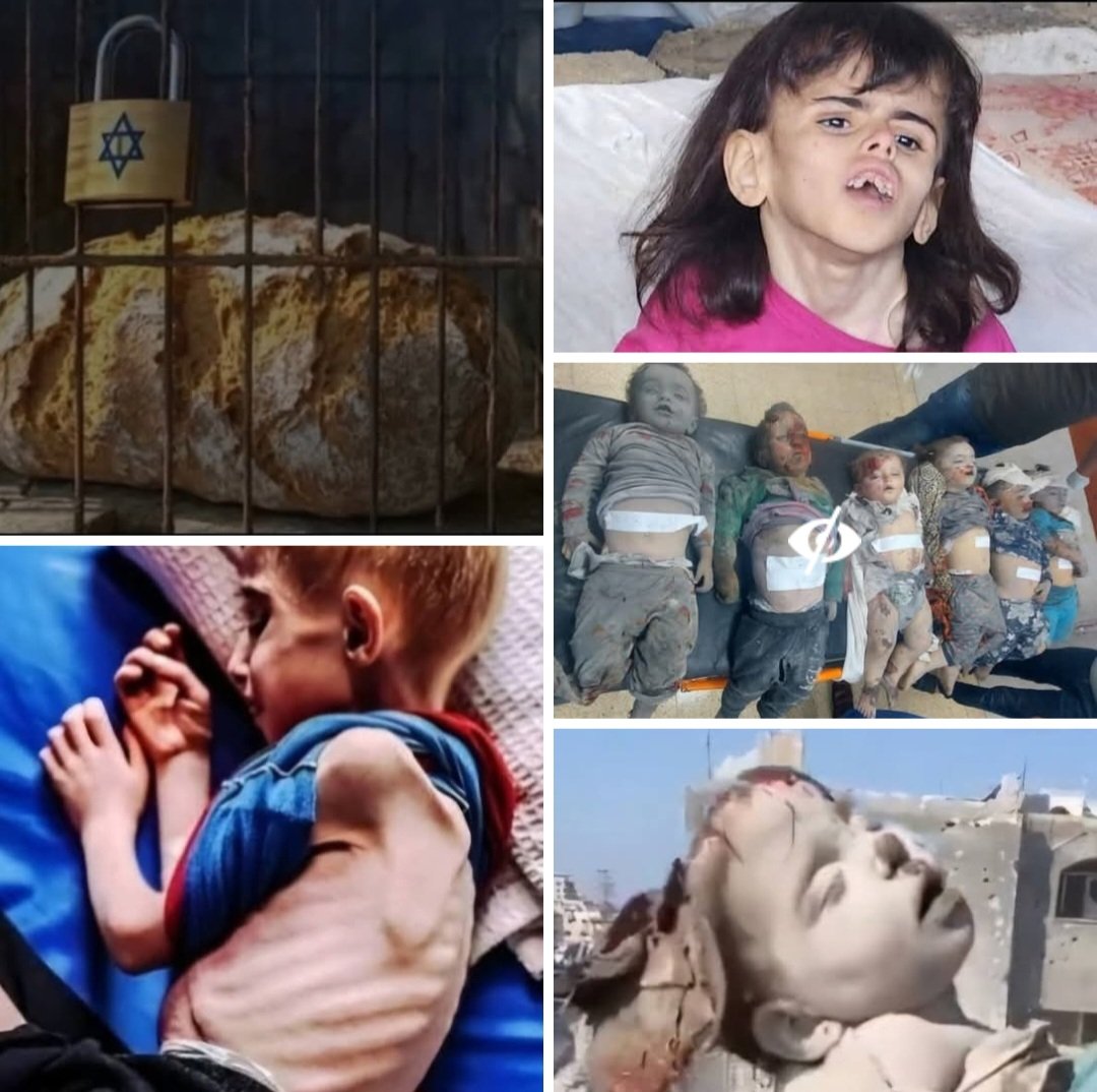 Adana0170737022's tweet image. NETANYAHU VE HÜKÜMETİ
Kabinesini korumak için Gazzeli Bebek,çocuk,kadın ve İsrail askerlerini acımasızca katlediyor.
@realDonaldTrump
Katliamlara Dilsiz şeytan olma❗️
#wakeupmuslim
#GazaisRunningOut
#GazzedeSoykırımVar 🇹🇷🇵🇸
#GazzedeÇocuklarÖldürülüyor
SİYONİST İSRAİLE GÜVENME❗️