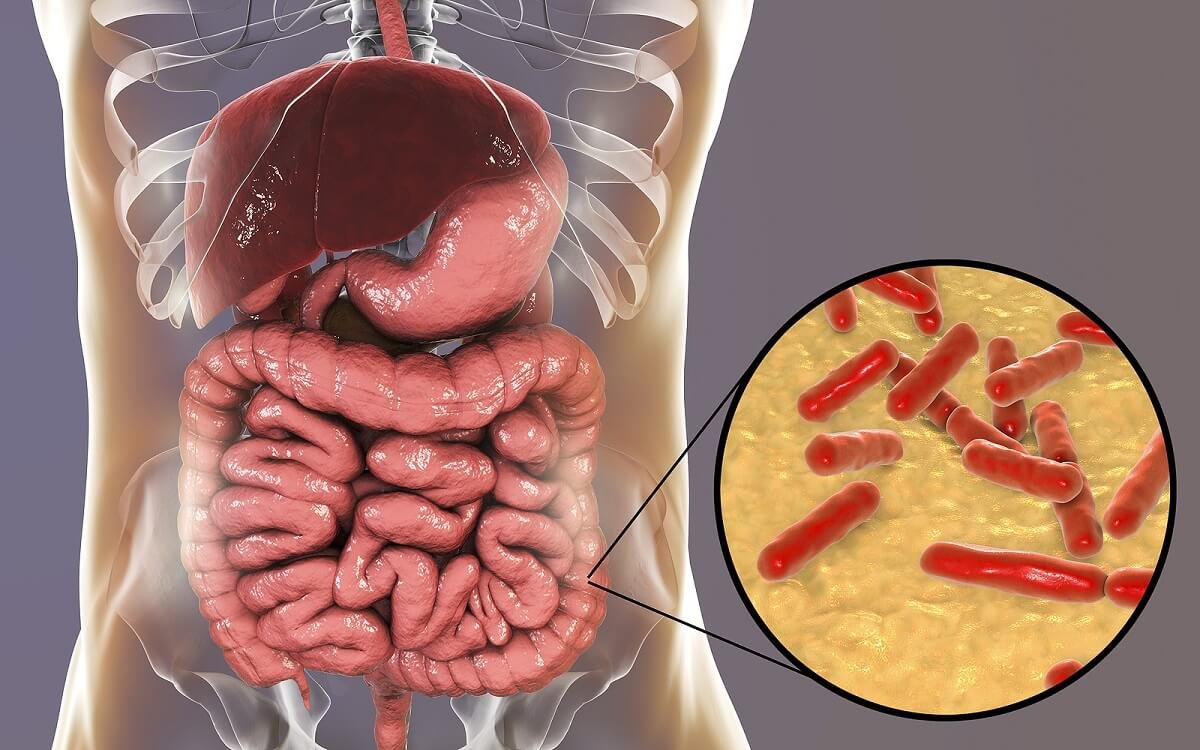santi_despierta's tweet photo. Estos 10 suplementos son los mejores para tratar problemas intestinales.

Cuando se usan correctamente y en la secuencia adecuada, pueden apoyar una verdadera sanación digestiva.

A continuación, presento el protocolo con marcas y dosis: https://t.co/eFjZzs8FLE