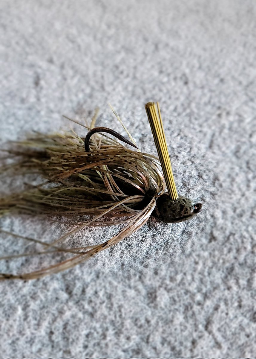 When the water is high and in bushes bass will move with the water into the flooded stuff. A Flippin Jig is one of several options. Make yours a Wild Card Flippin Jig by Advantage Bait. 
#spottedbass #largemouthbass #smallmouthbass  #bassfishing advantagebait.com