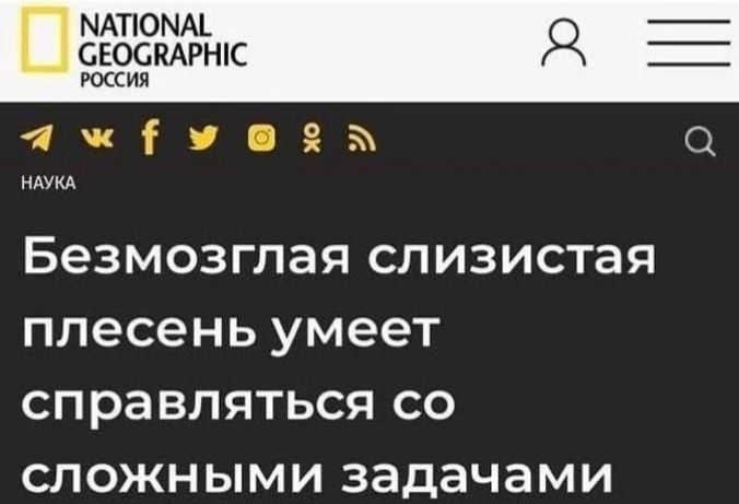 Похвалили на работе