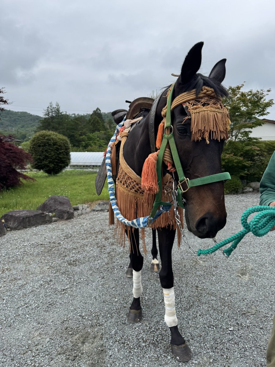 いざ出陣！
♯相馬野馬追2025