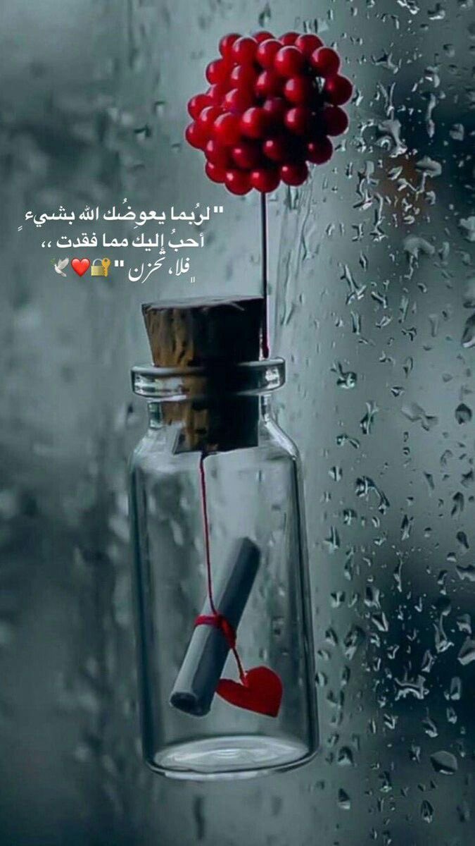 مازلنا صغار نُحلق بأجنحة للحُلــم ،،
ونبكى لفقدان مانحب ..♡︎

#مشاعـر