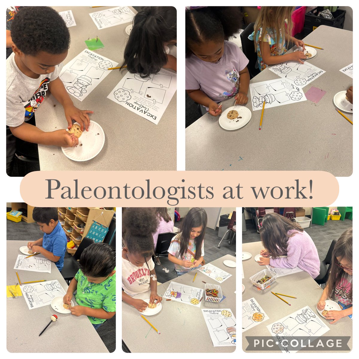 Keely Mills, MA tweet media