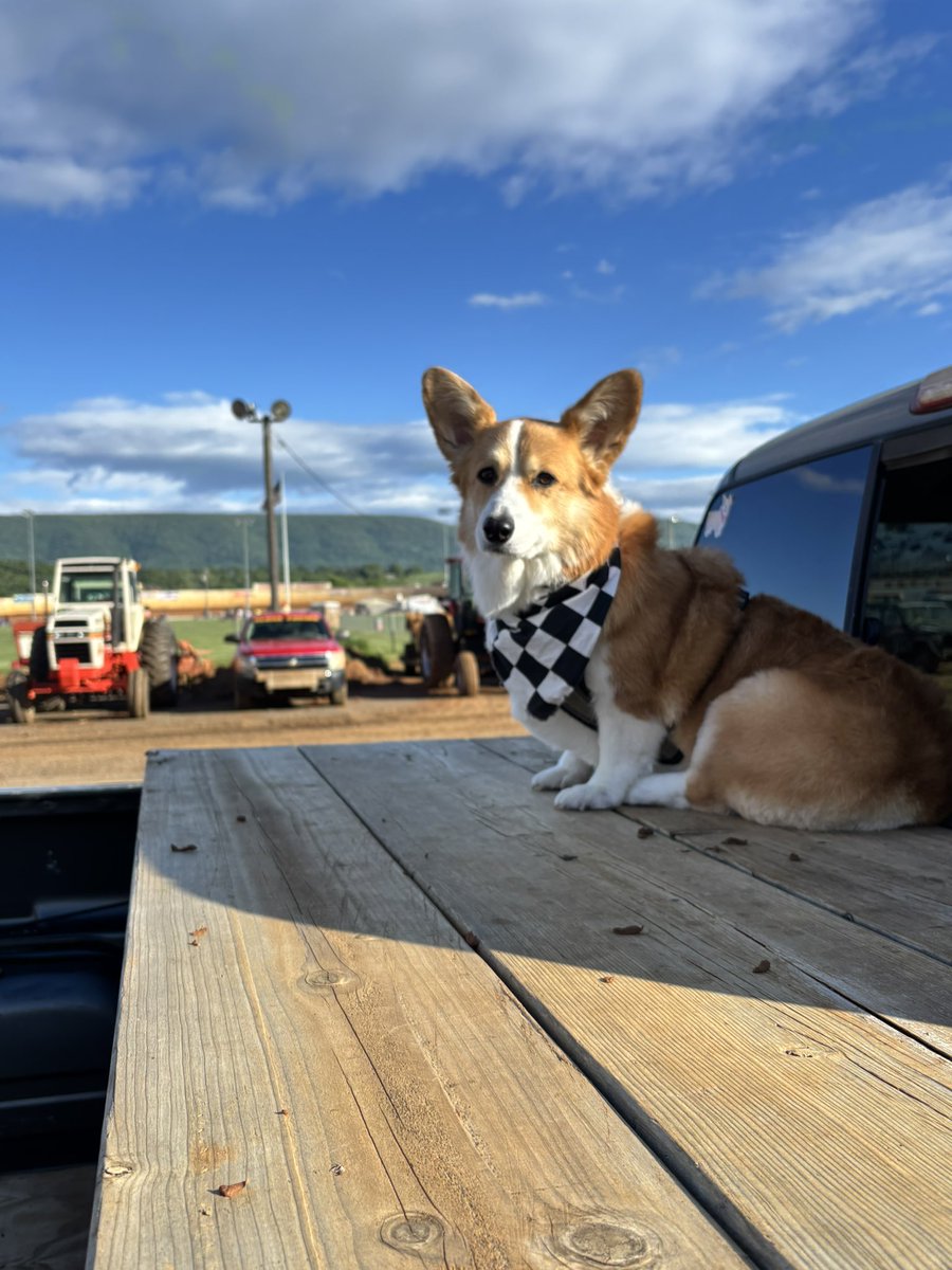 Dzus the Push Truck Corgi tweet media