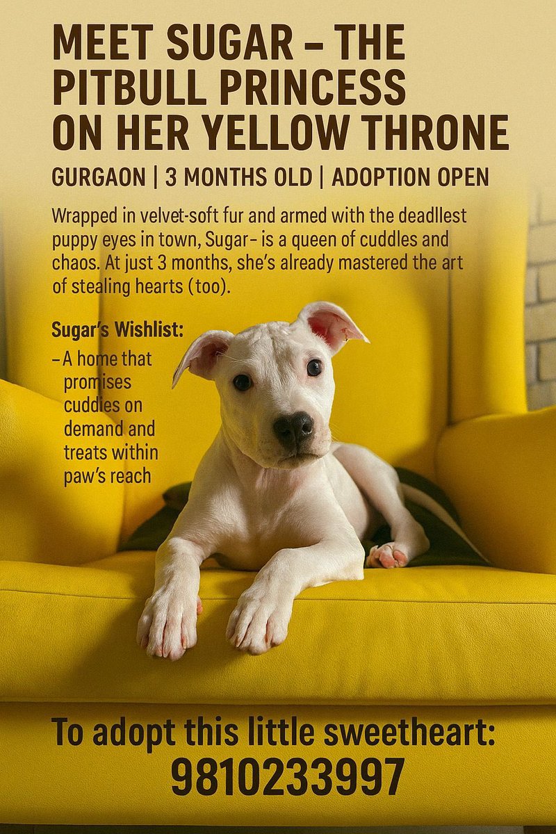 #Gurgaon #AdoptDontShop 🐶 

dogwithblog.in/emergency-anim…