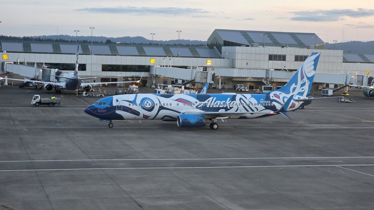 Heyy <a href="/AlaskaAir/">Alaska Airlines</a> how pretty can you make your flying machine look!?